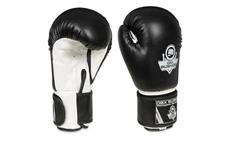 Boxerské rukavice DBX BUSHIDO ARB-407a 10 oz
