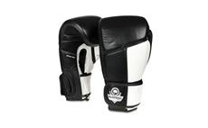 Boxerské rukavice DBX BUSHIDO ARB-431 bílé 12 oz