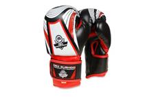 Boxerské rukavice DBX BUSHIDO ARB407v2 6 oz.