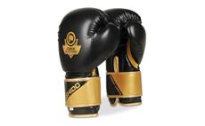 Boxerské rukavice DBX BUSHIDO B-2v10 8 oz