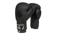 Boxerské rukavice DBX BUSHIDO B-2v12 12 oz