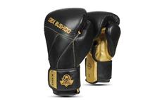 Boxerské rukavice DBX BUSHIDO B-2v14 14 oz