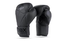 Boxerské rukavice DBX BUSHIDO B-2v15B 12 oz