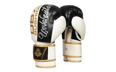 Boxerské rukavice DBX BUSHIDO B-2v16 10 oz