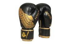 Boxerské rukavice DBX BUSHIDO B-2v17 10 oz