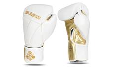 Boxerské rukavice DBX BUSHIDO B-2v19 14 oz