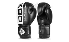 Boxerské rukavice DBX BUSHIDO B-2v20 10 oz
