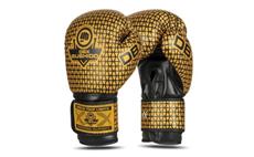 Boxerské rukavice DBX BUSHIDO B-2v23 12 oz