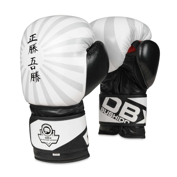 Boxerské rukavice DBX BUSHIDO B-2v8 14 oz Boxerské rukavice DBX BUSHIDO B-2v8 14 oz