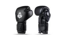 Boxerské rukavice DBX BUSHIDO B-ProFight 12 oz