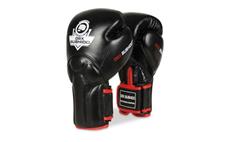 Boxerské rukavice DBX BUSHIDO BB2 10 oz
