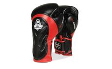 Boxerské rukavice DBX BUSHIDO BB4 12 oz