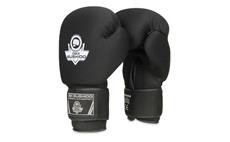 Boxerské rukavice DBX BUSHIDO DBX-B-W EverCLEAN 10 oz