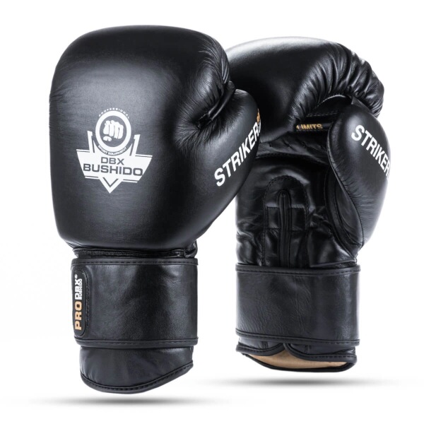 Boxerské rukavice DBX BUSHIDO Striker 12 oz Boxerské rukavice DBX BUSHIDO Striker 12 oz
