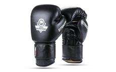 Boxerské rukavice DBX BUSHIDO Striker 12 oz