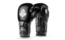 Boxerské rukavice DBX BUSHIDO Warrior BLACK 14 oz