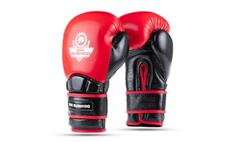 Boxerské rukavice DBX BUSHIDO Warrior RED 14 oz