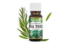 Olej esenciální TEA TREE 