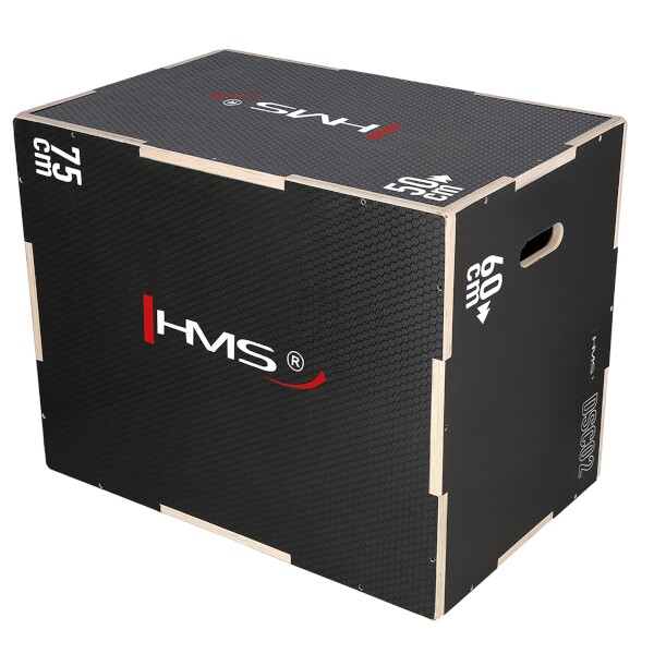 Plyo Box HMS DSC02 Plyo Box HMS DSC02